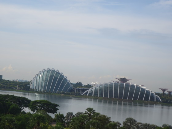 Changi 空港に T4がオープンしていました!_c0212604_7334650.jpg