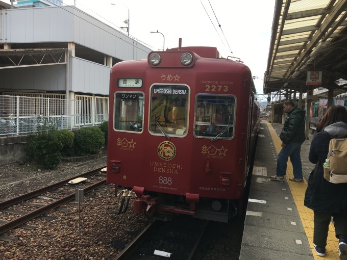 中野瑞樹先生と行くフルーツセミナー旅行 和歌山電鉄たま駅長_a0100706_13473934.jpg