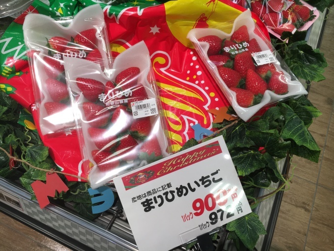 中野瑞樹先生と行くフルーツセミナー旅行 フルーツ寿司他_a0100706_17344334.jpg