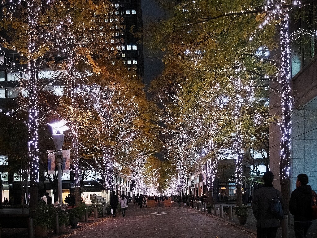 e0364711_23480816.jpg