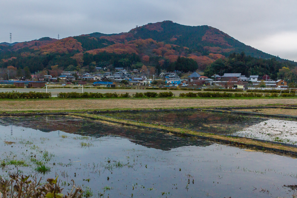 久しぶりに巾着田へ_b0010915_18110084.jpg