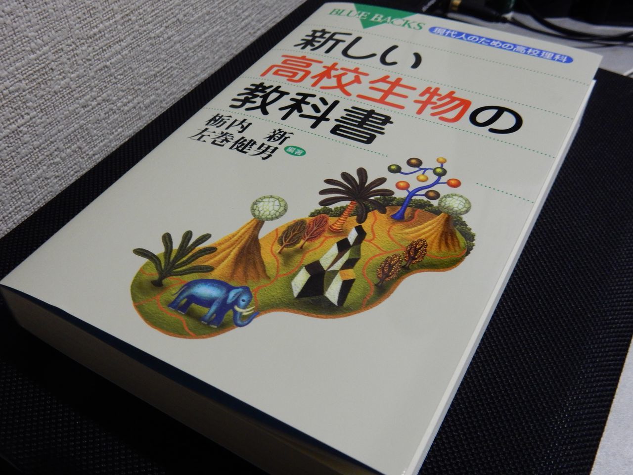 暦の上ではディセンバー_c0025115_20321561.jpg