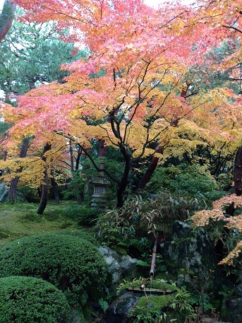 c0046316_21494090.jpg