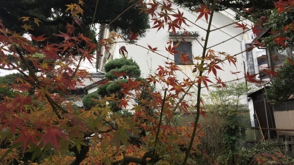 b0325317_21584955.jpeg