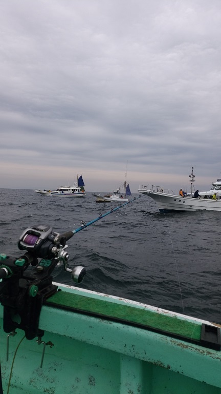 駿河湾石花海ヤリイカ＠戸田港_e0125217_17395968.jpg