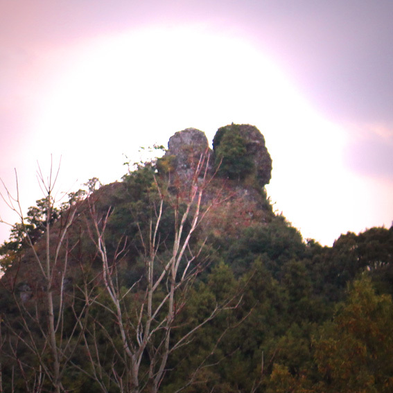a0329820_01482061.jpg