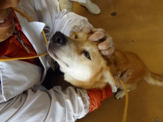 12/5センターレポート　Ｅ部屋　5頭＋幼犬　３頭_f0078320_13034346.jpg