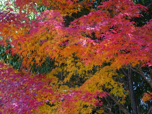 b0163121_21220043.jpg