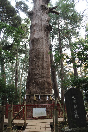 e0364523_23184892.jpg