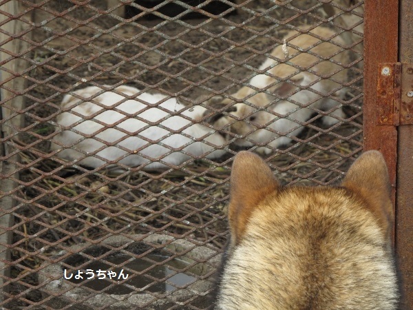 f0143123_09452951.jpg