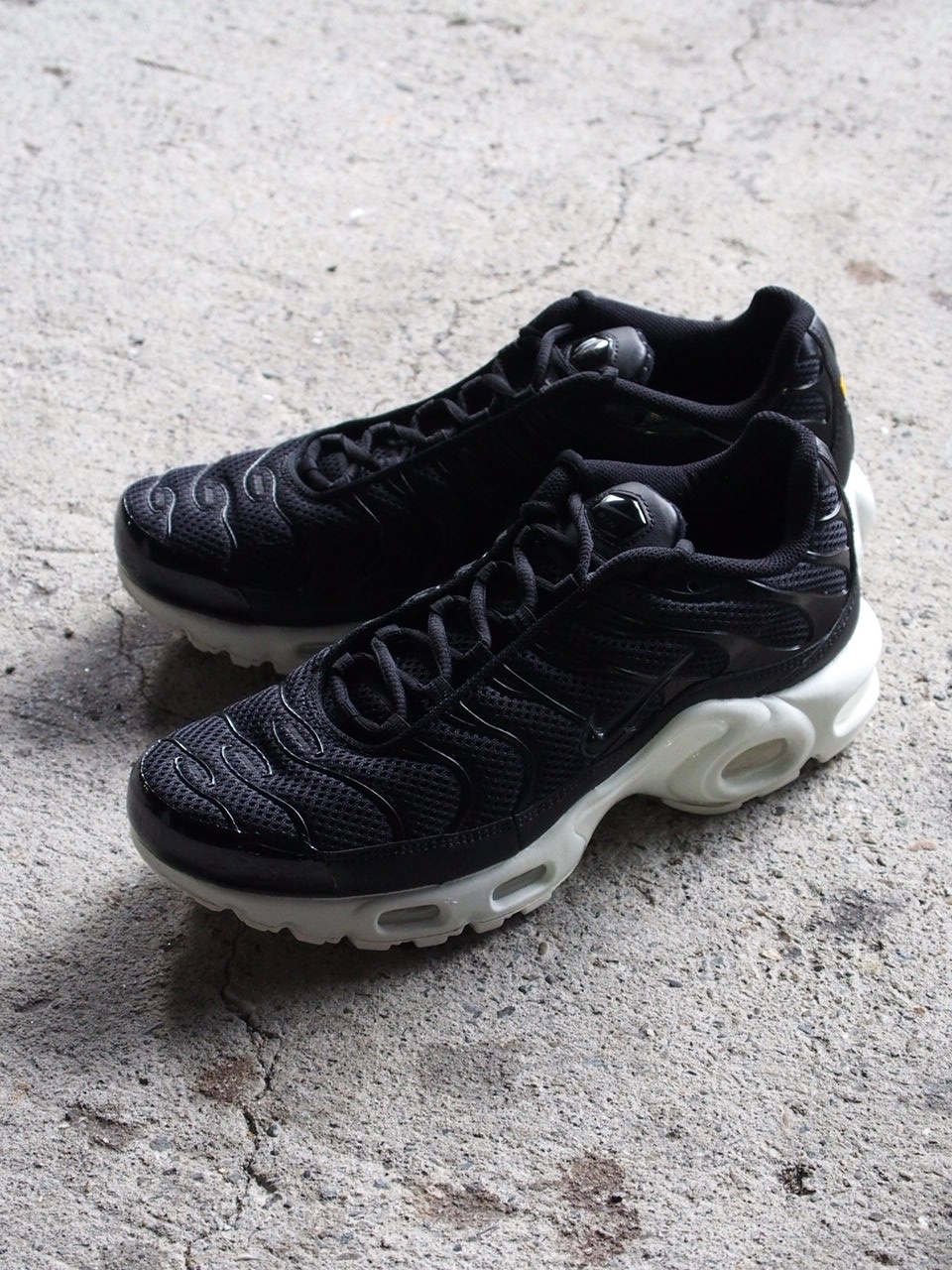 AIR MAX PLUS_c0246125_15161786.jpg