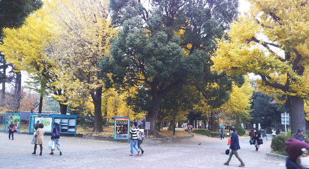 a0108328_13323068.jpg