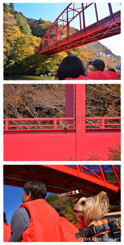 d0179828_09591528.png