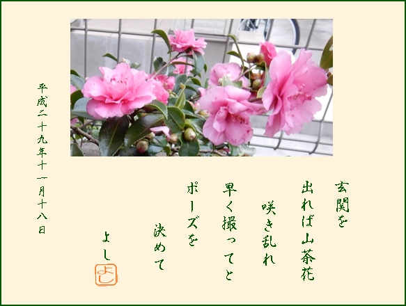 e0033229_21331551.jpg