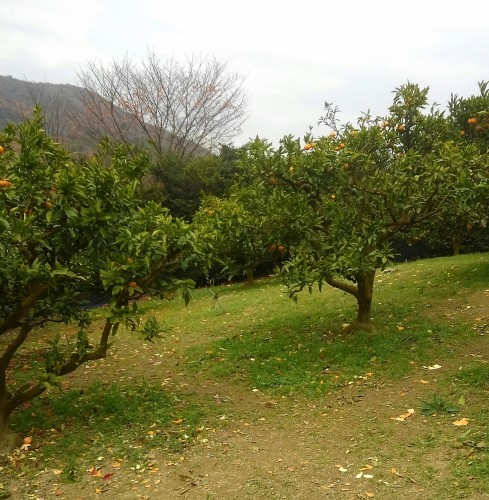 e0338831_00170414.jpg