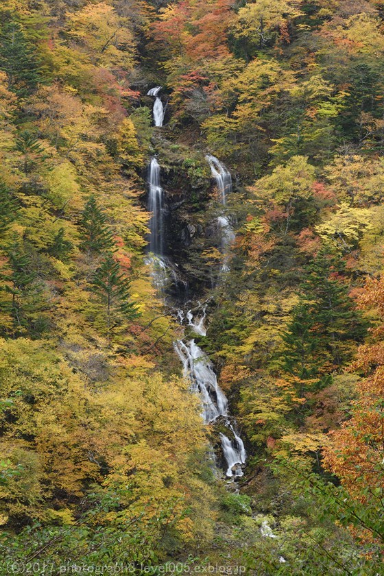 日光 蛇王の滝 紅葉_e0362037_20544965.jpg