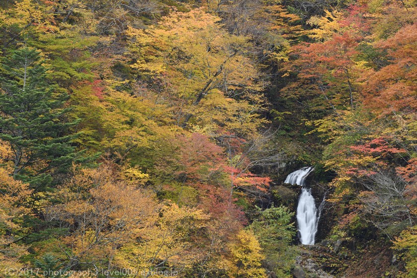 日光 蛇王の滝 紅葉_e0362037_20545391.jpg