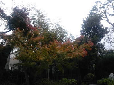 a0163738_12090888.jpg