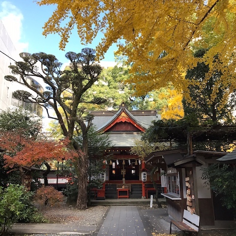 いよいよ明日からです!_d0364239_15314284.jpg