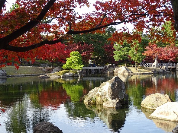 徳川園の紅葉 彩の気まぐれ写真 徳川園の紅葉 彩の気まぐれ写真