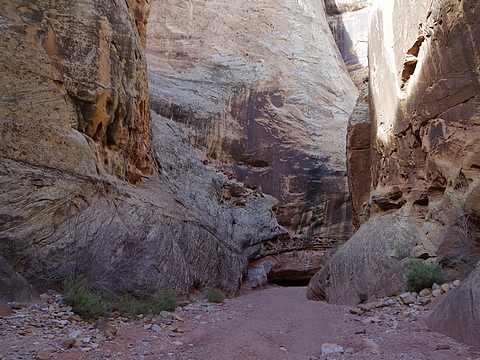 キャピトルリーフ \"Capitol Reef\"_a0023246_160469.jpg