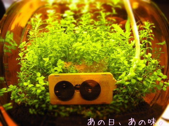a0305046_09445760.jpg