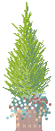 a0305046_11194553.gif