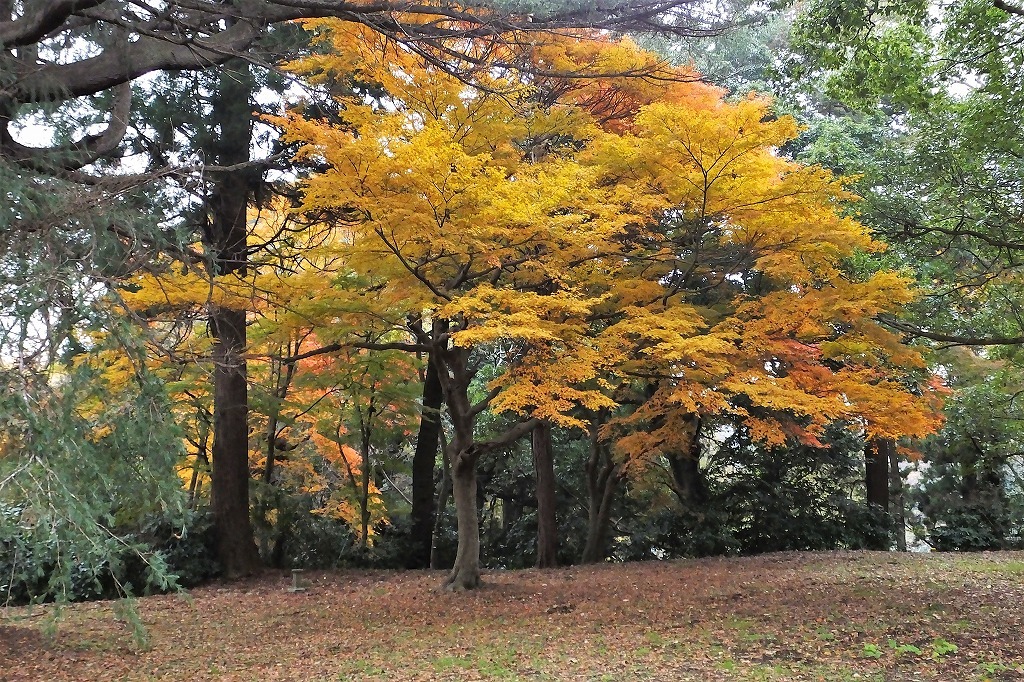b0236251_15055557.jpg