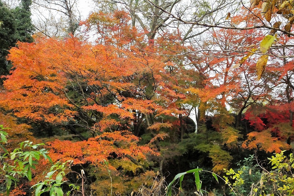 b0236251_15090072.jpg