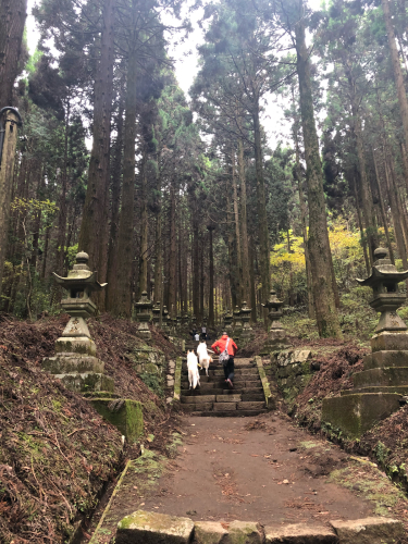 秋の九州旅行2017 〜2日目 パワースポット巡り①〜_e0310553_15005178.jpg