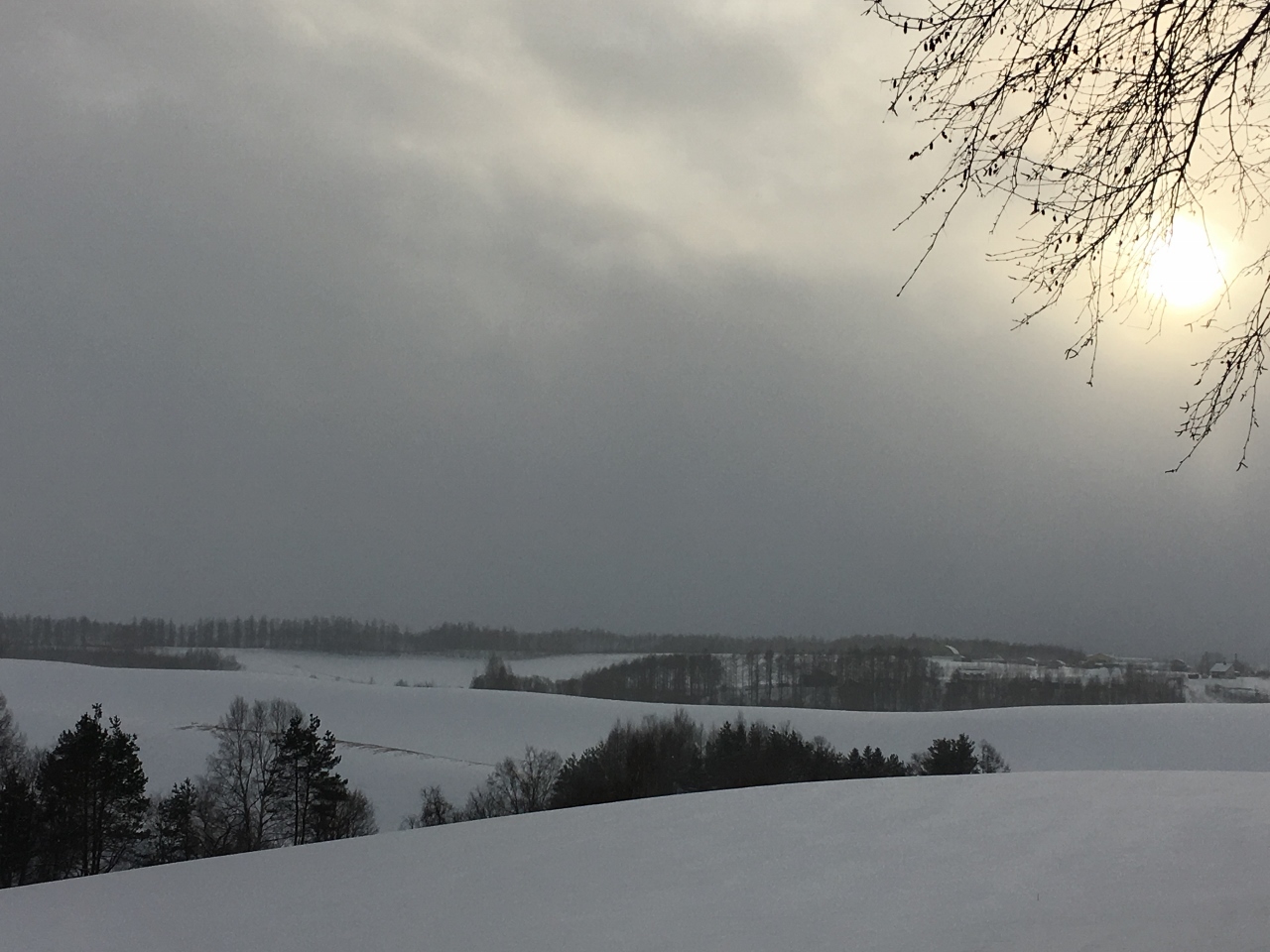e0326953_22010244.jpg