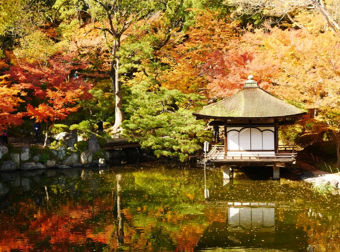　　和歌山城 紅葉渓庭園　　　２０１７-１２-０６　００：００_b0093754_2381637.jpg