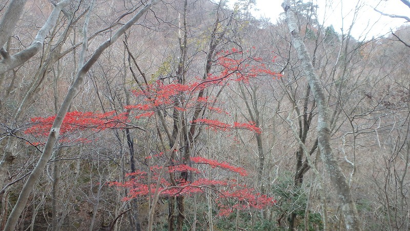 c0097754_18011127.jpg