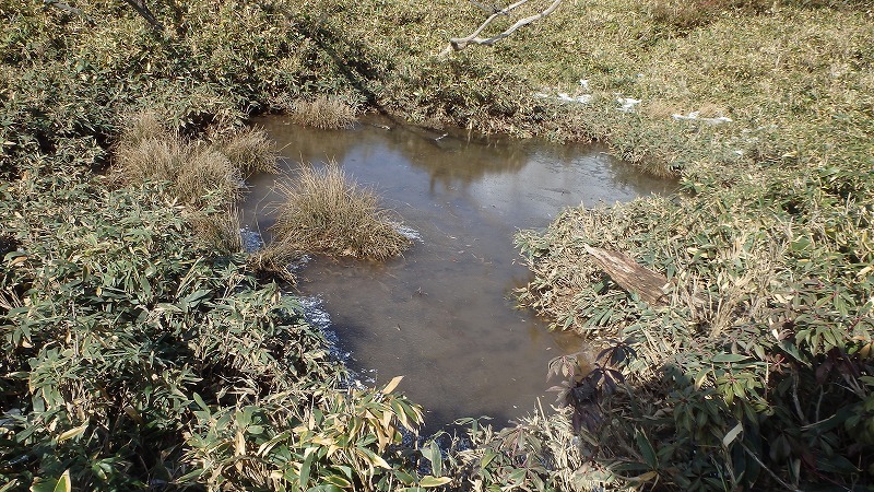 c0097754_18105237.jpg