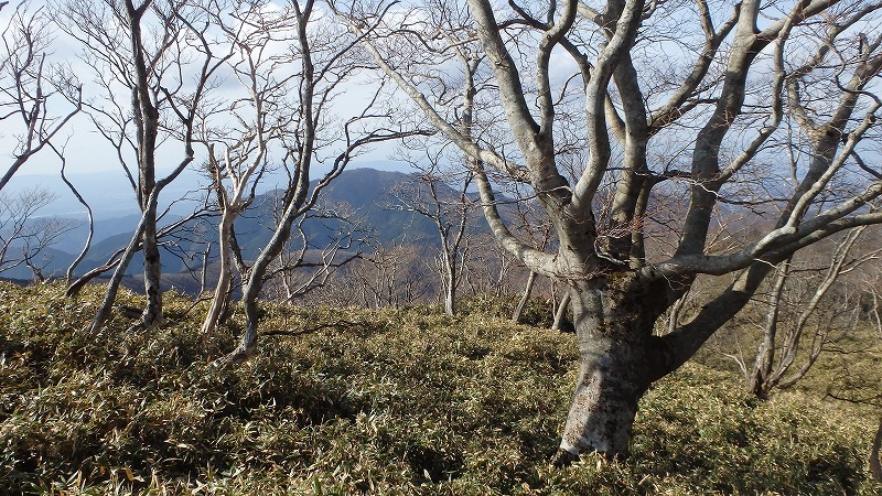 c0097754_18112844.jpg