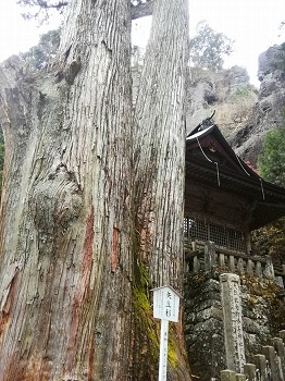 初冬の榛名神社_a0061057_16384811.jpg