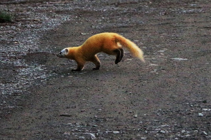 c0294658_09344002.jpg