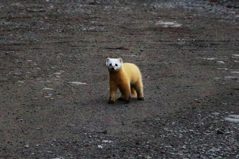 c0294658_09344027.jpg