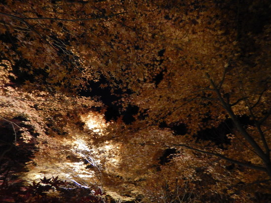 d0231858_10525870.jpg