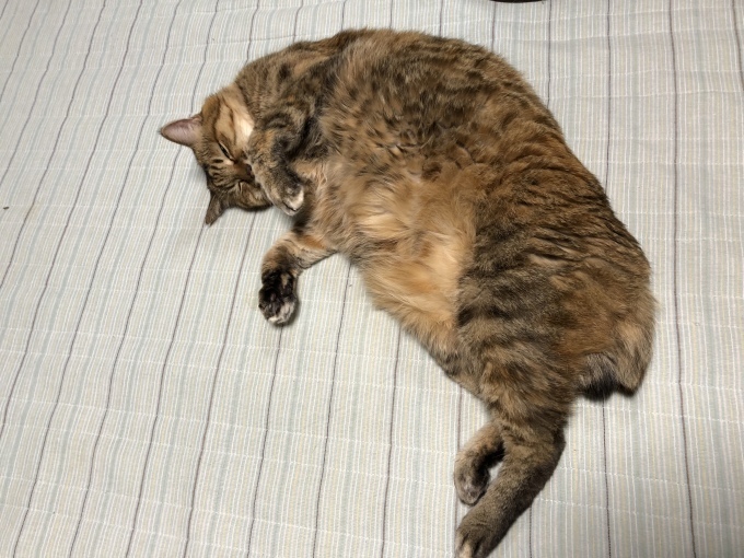 f0032164_20325336.jpeg
