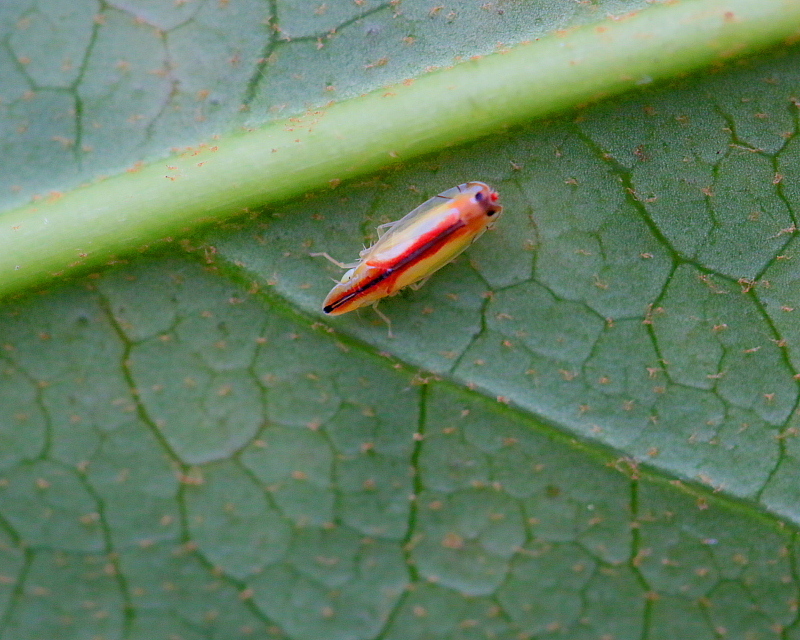 c0305565_17433043.jpg