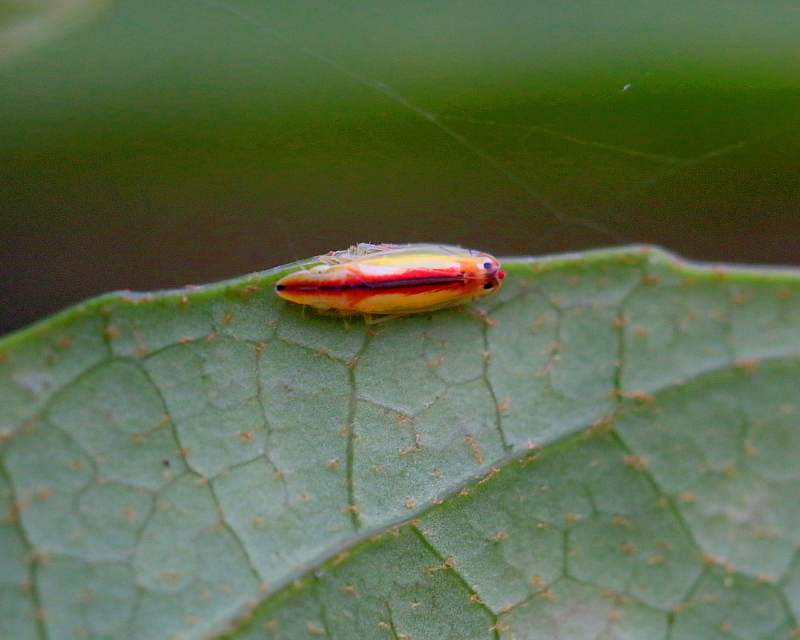 c0305565_17434596.jpg