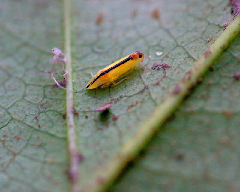 c0305565_17440086.jpg