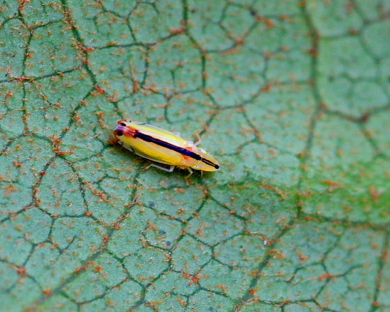 c0305565_17443047.jpg