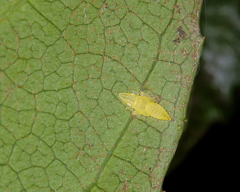 c0305565_17451258.jpg