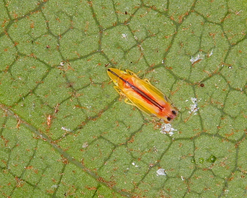 c0305565_17452932.jpg