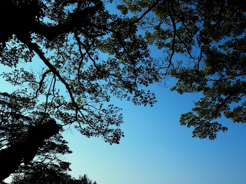 d0226565_18435071.jpg
