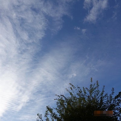 d0176767_09465571.jpg