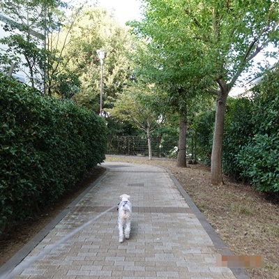 d0176767_09470970.jpg