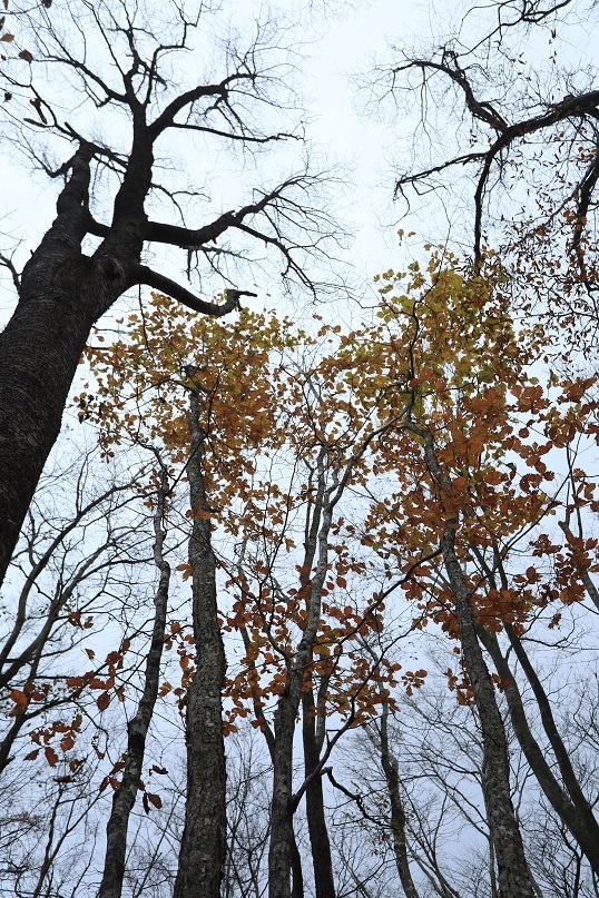 e0304170_20351138.jpg